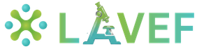 https://lavef.com.br